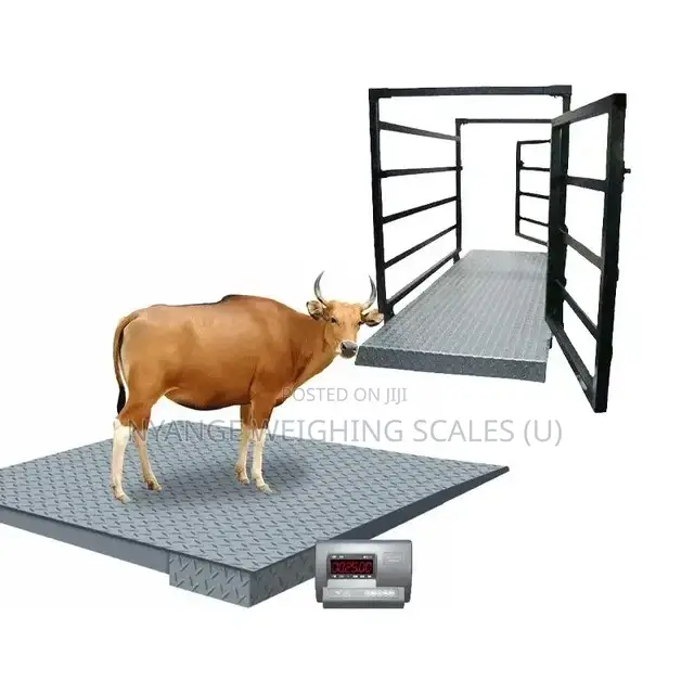 Electronic 3000kg Digital Animal Weighing Scale [2]