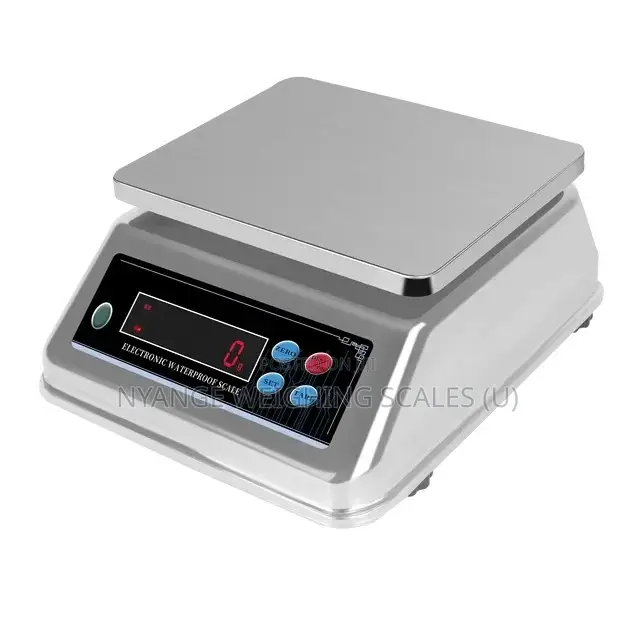 Stainless Electronic Weigh 30kg Weighing Scale Digital Weighing Scale