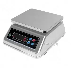 Electronic 30kg Weigh Waterproof Weighing Scale Portable Weigh Scale