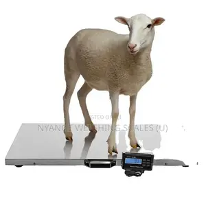 New Model Electronic Scale Digital Platform Scales [34]