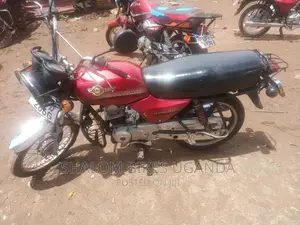 Shineray XY100-7A 2022 Red