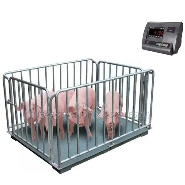 Digital Weighing Scales Electronics Weigh Animal Floor Weighing Scales