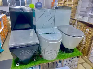 Sitting Pan Toilets