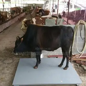 Electronic Weighing Scale Farm Weigh Animal Weighing Scale 3tone