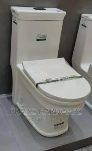 Combined Sitting Toilet