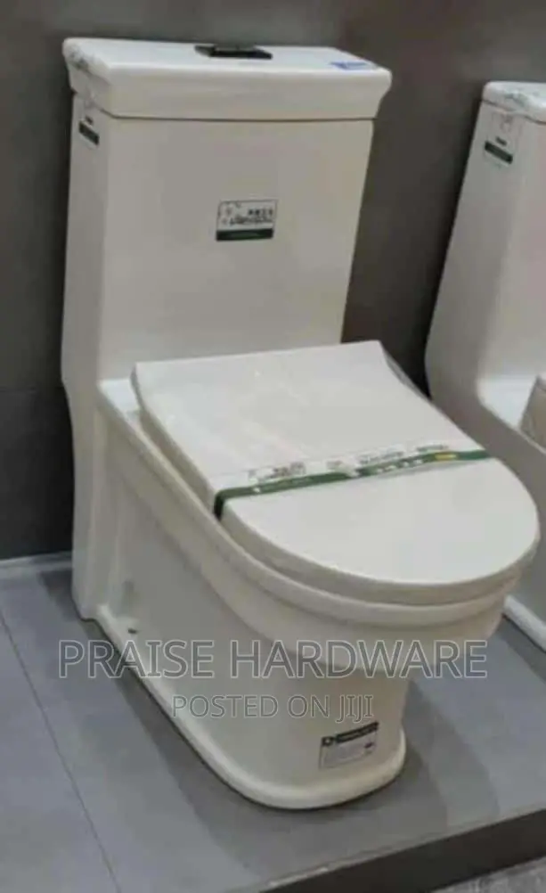 Combined Sitting Toilet