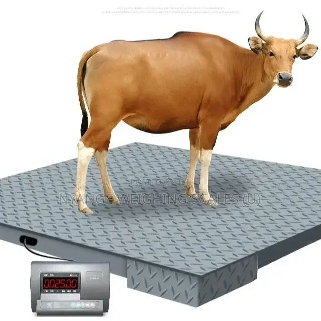 Electronic Weighing Scale Iron Cast Weigh Floor Animal Weighing Scales