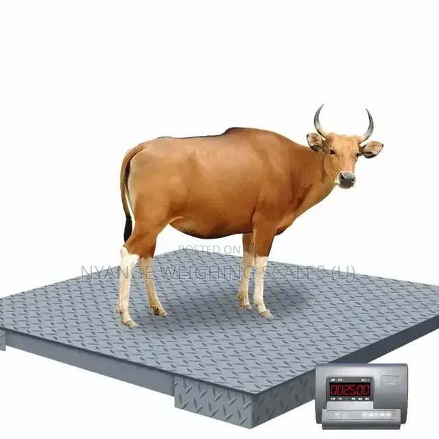 Floor Weighing Scale Digital Industrial Weighing Scales