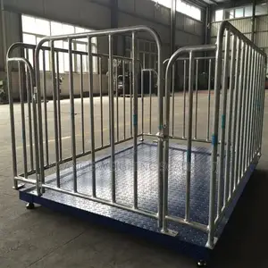 Weighing Animal Floor Weighing Scale [11]