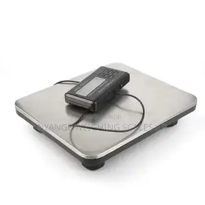 Weighing Industrial Floor Weighing Scale