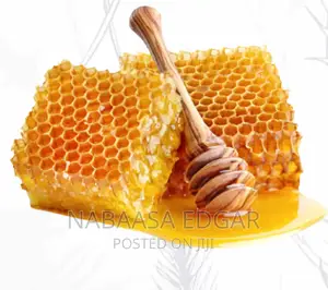 Organic Honey Combs