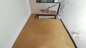 Painting Services