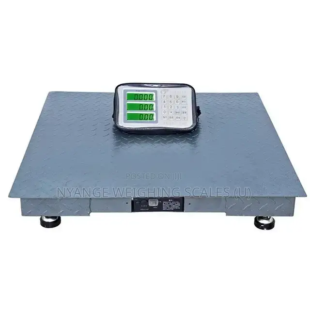 Electronic Platform Floor Weighing Scales 1tone [18]