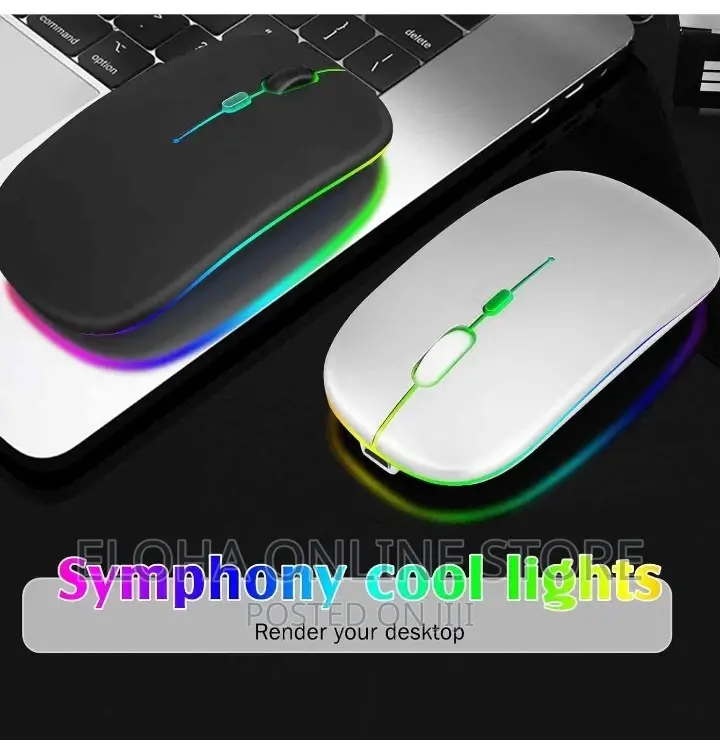 Portable Rechargeable Wireless Mouse