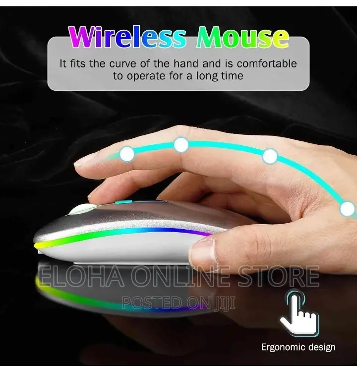 Portable Rechargeable Wireless Mouse