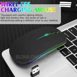 Portable Rechargeable Wireless Mouse