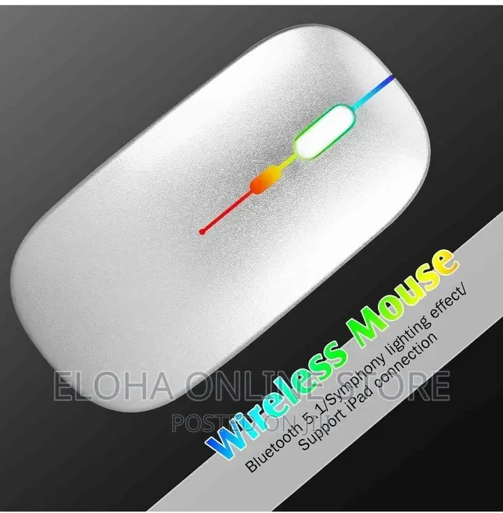 Portable Rechargeable Wireless Mouse