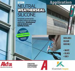Akfix Weather Silicon