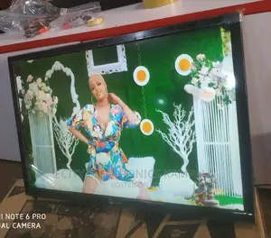 24"Inch Digital LG