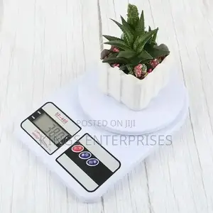 Analytical Digital Scale