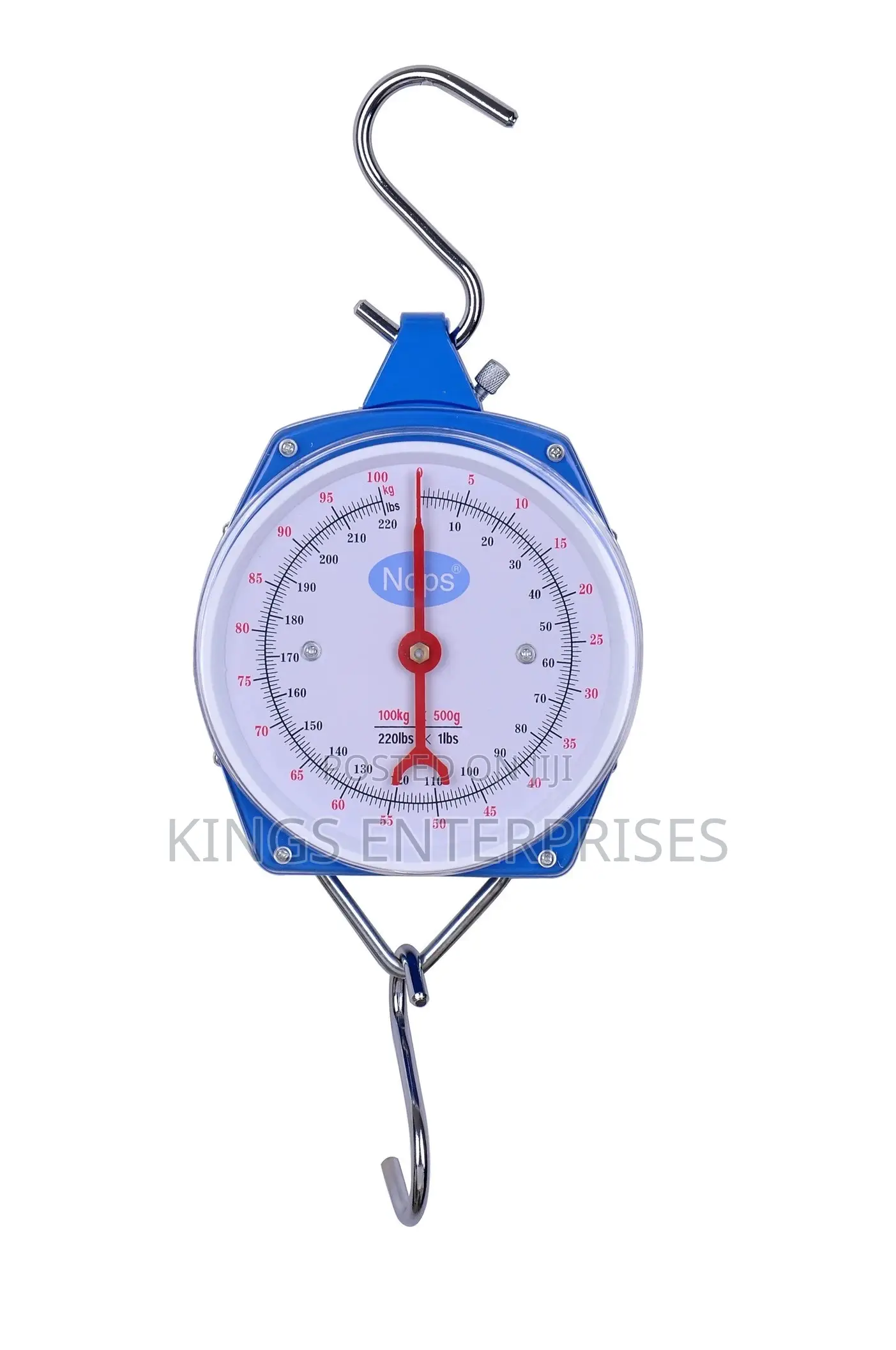 Portable Pointer Hanging Scale