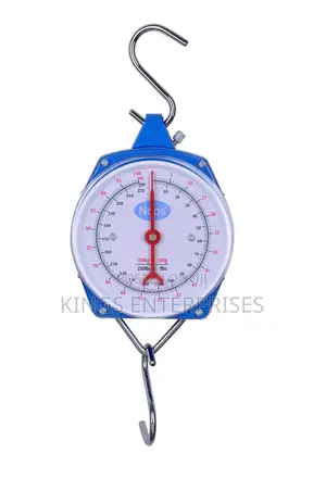 Portable Pointer Hanging Scale