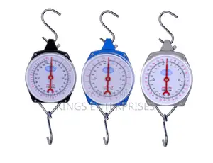 Portable Pointer Hanging Scale