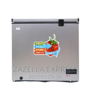 Pixel 260L Deep Freezer