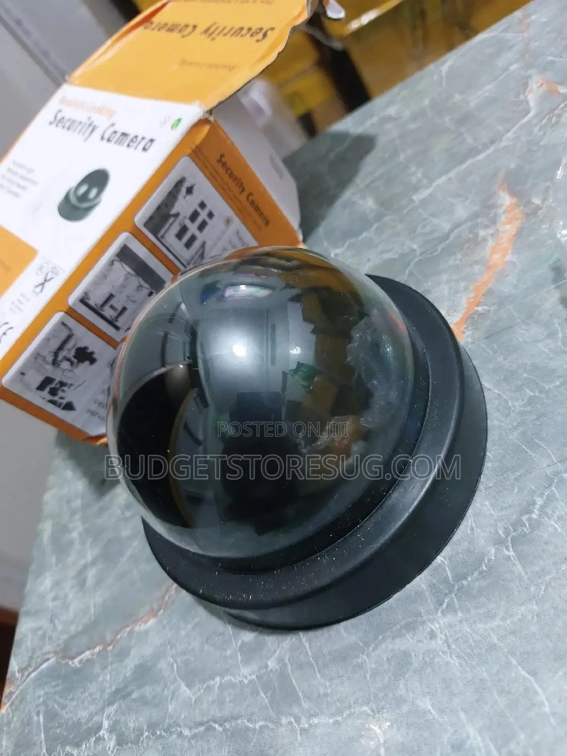 Dome Indoor Outdoor Camera