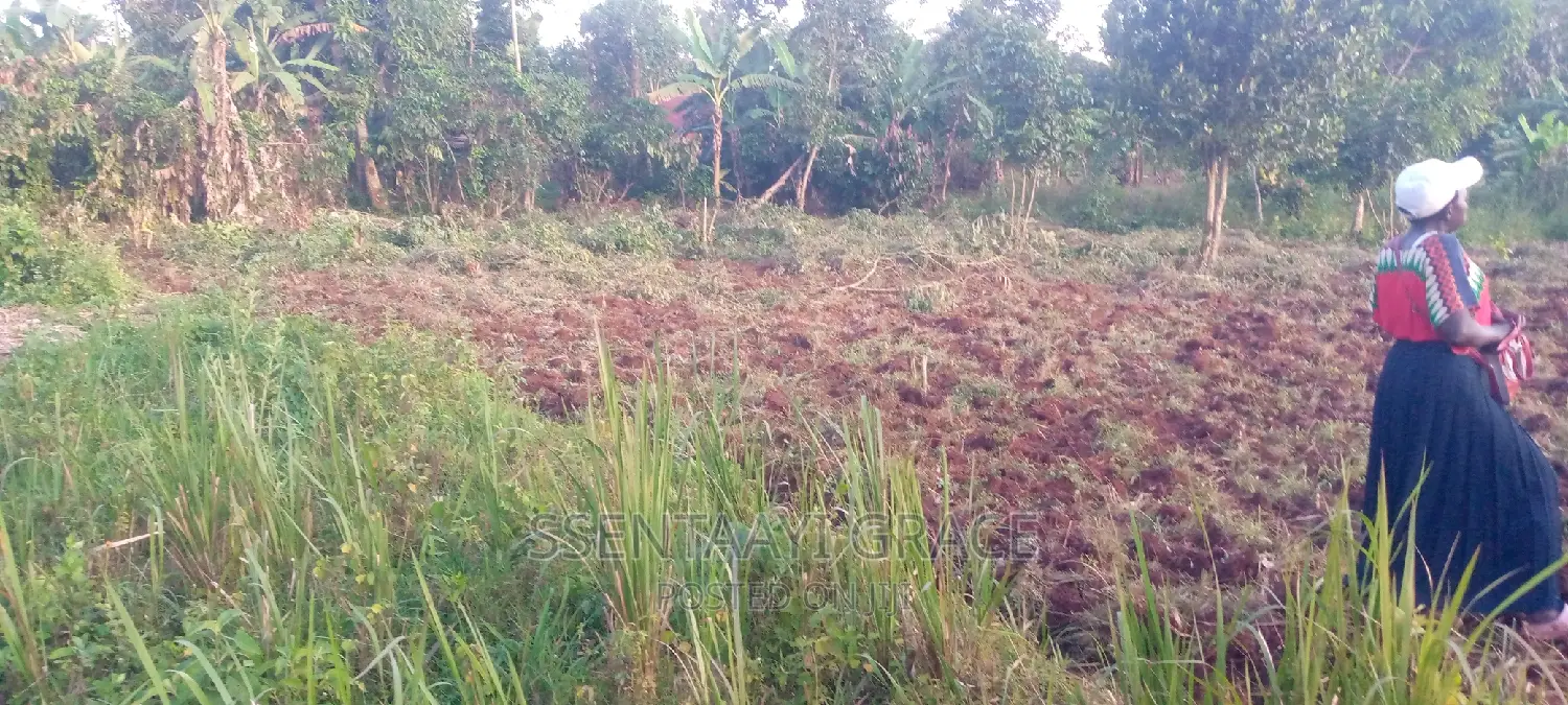 Kisozi Buddo Secondary School.50*100