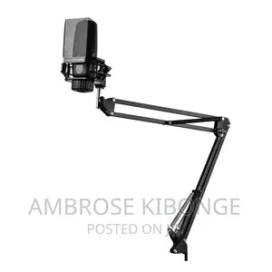 Adjustable Metallic Professional Recording Microphone Stand.