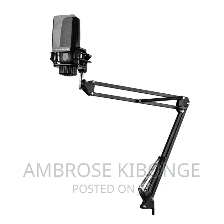 Adjustable Metallic Professional Recording Microphone Stand.