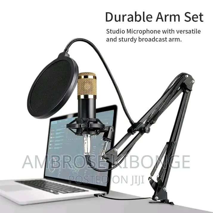 Adjustable Metallic Professional Recording Microphone Stand.