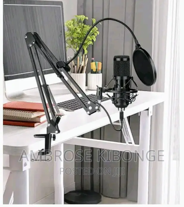 Adjustable Metallic Professional Recording Microphone Stand.