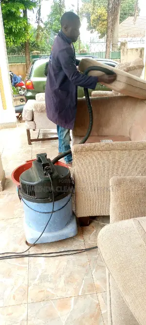 Ready for Sofa Cleaning