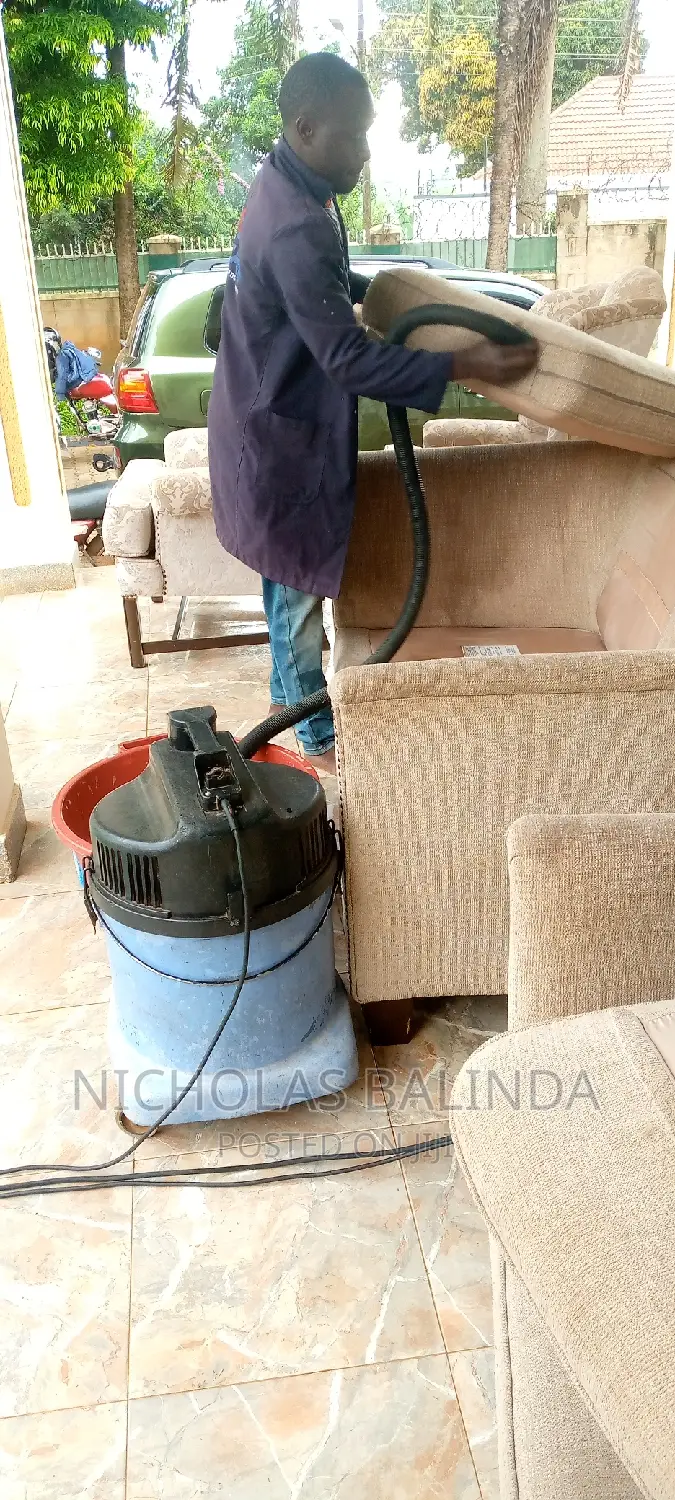 Ready for Sofa Cleaning