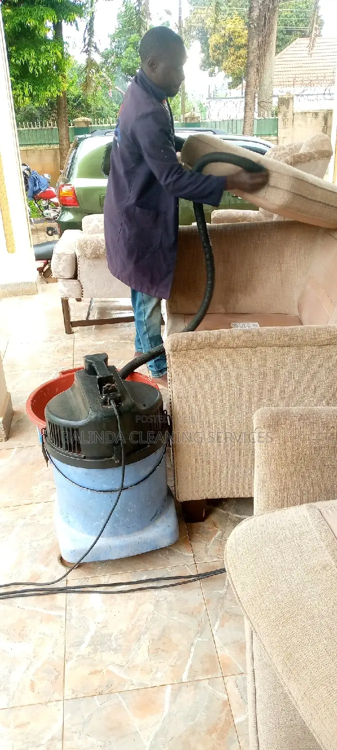 Ready for Sofa Cleaning