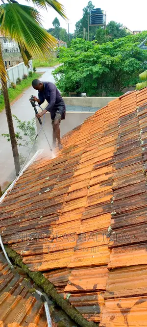 Roof Tiles Treatment Cleaning