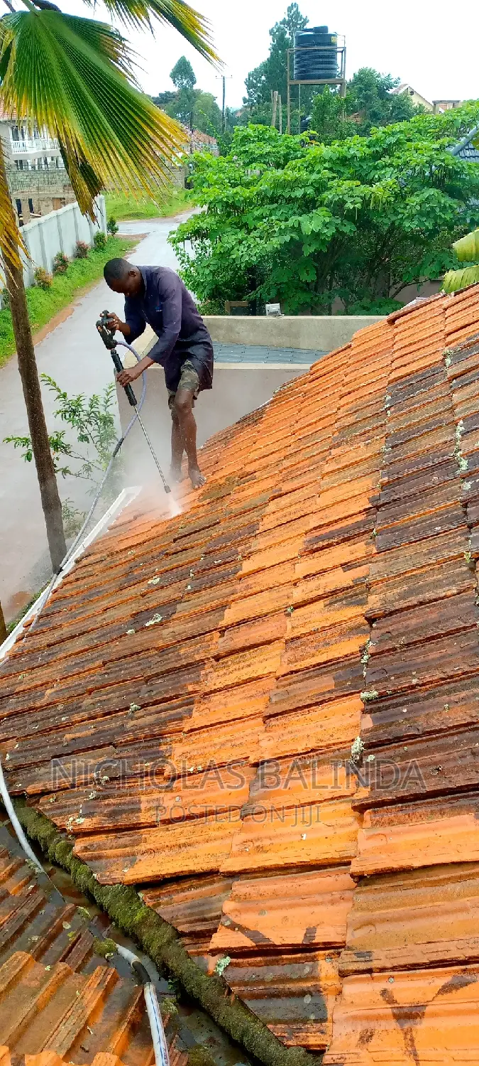 Roof Tiles Treatment Cleaning