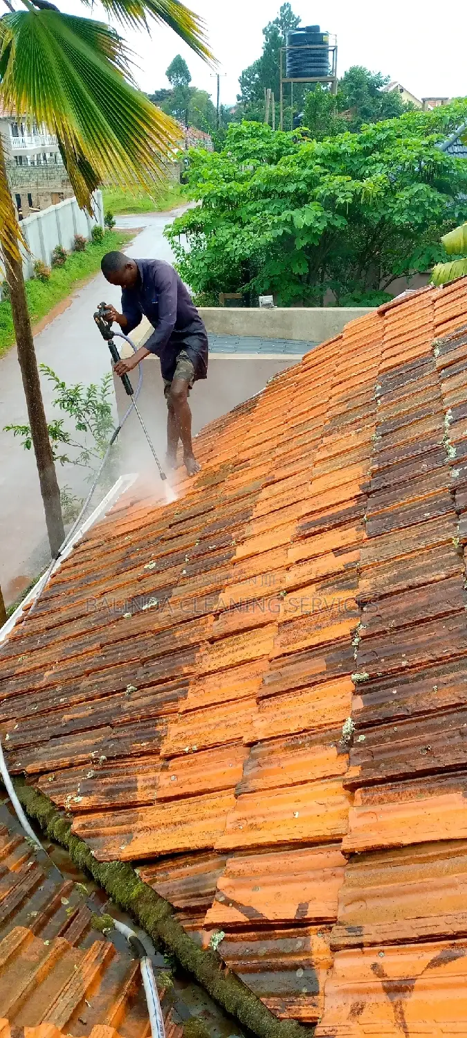 Roof Tiles Treatment Cleaning