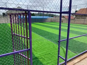 Artificial Turf Grass Carpet/Grass Carpet