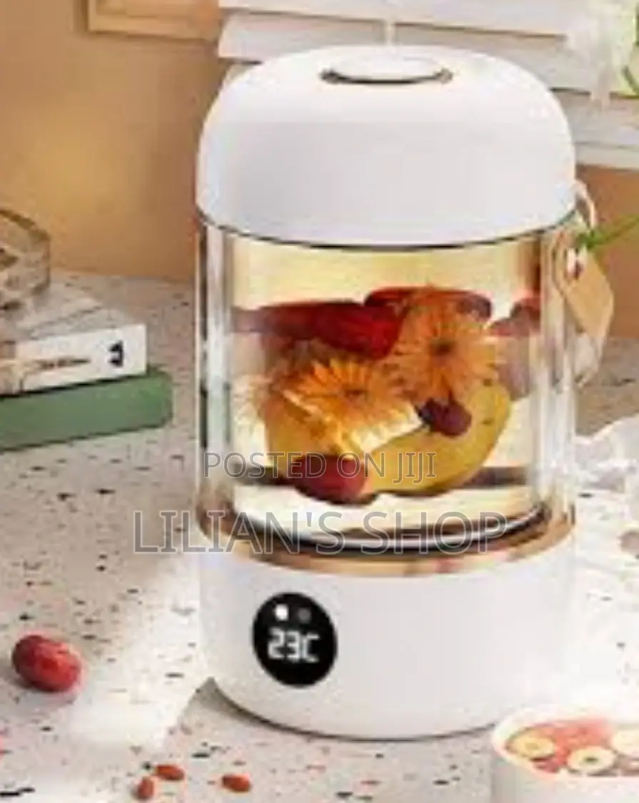 Mini Electric Water Cooker / Kettle