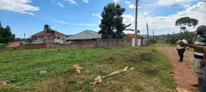 Plot for Sale at Kitende Kitovu (50x100) at 60M Ugx
