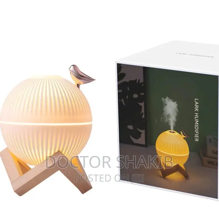 Portable Modern Mini Luxurious Humidifier