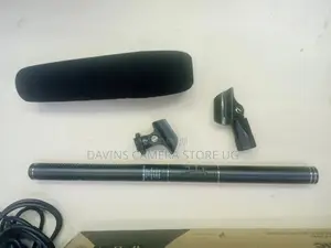 Panasonic Microphone