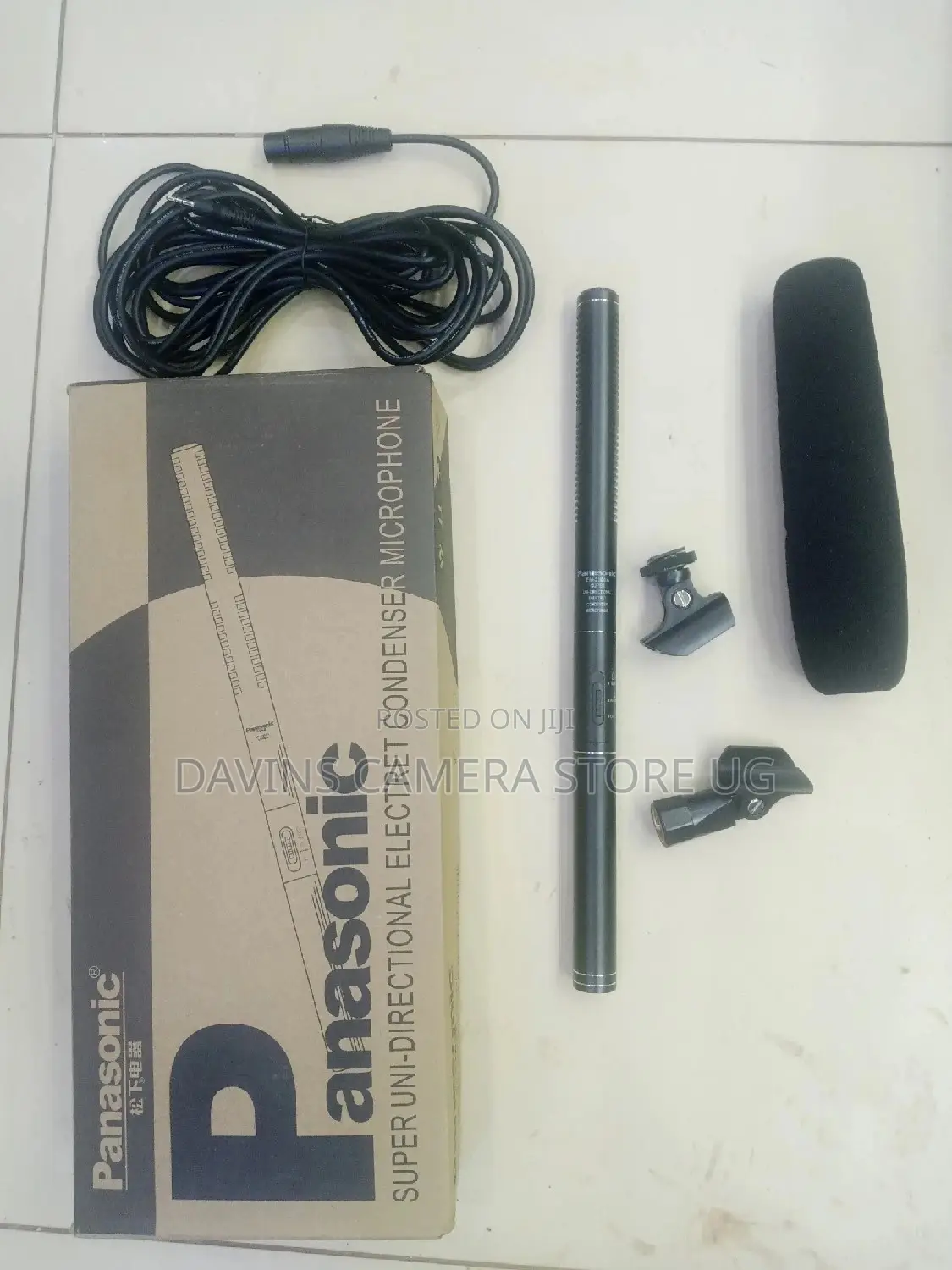 Panasonic Microphone