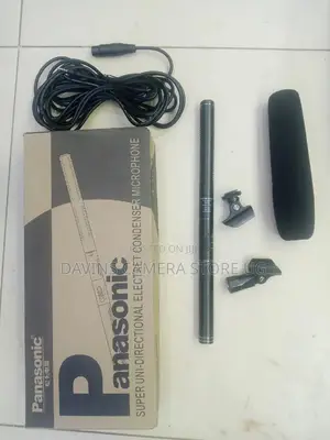 Panasonic Microphone