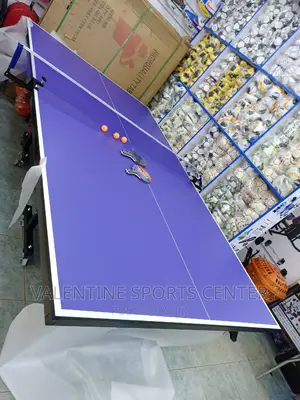 Table Tennis Full Set Standard Size Original Waterproof