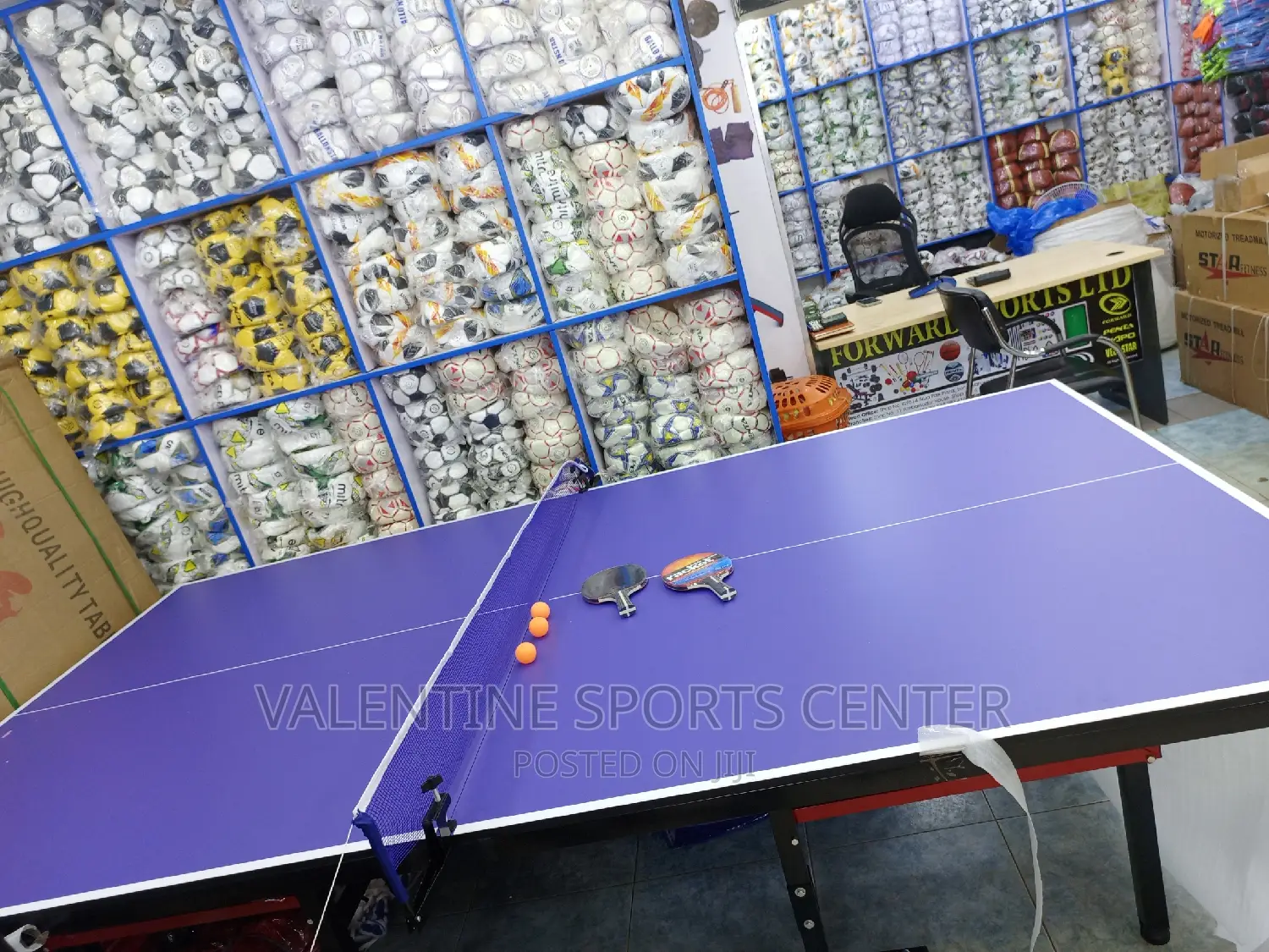 Table Tennis Full Set Standard Size Original Waterproof