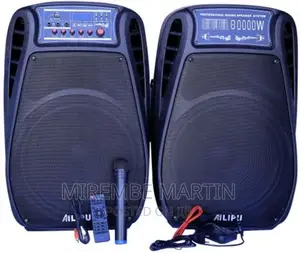 AILIPU Dual 15′′ Amplified Public Address Speaker –